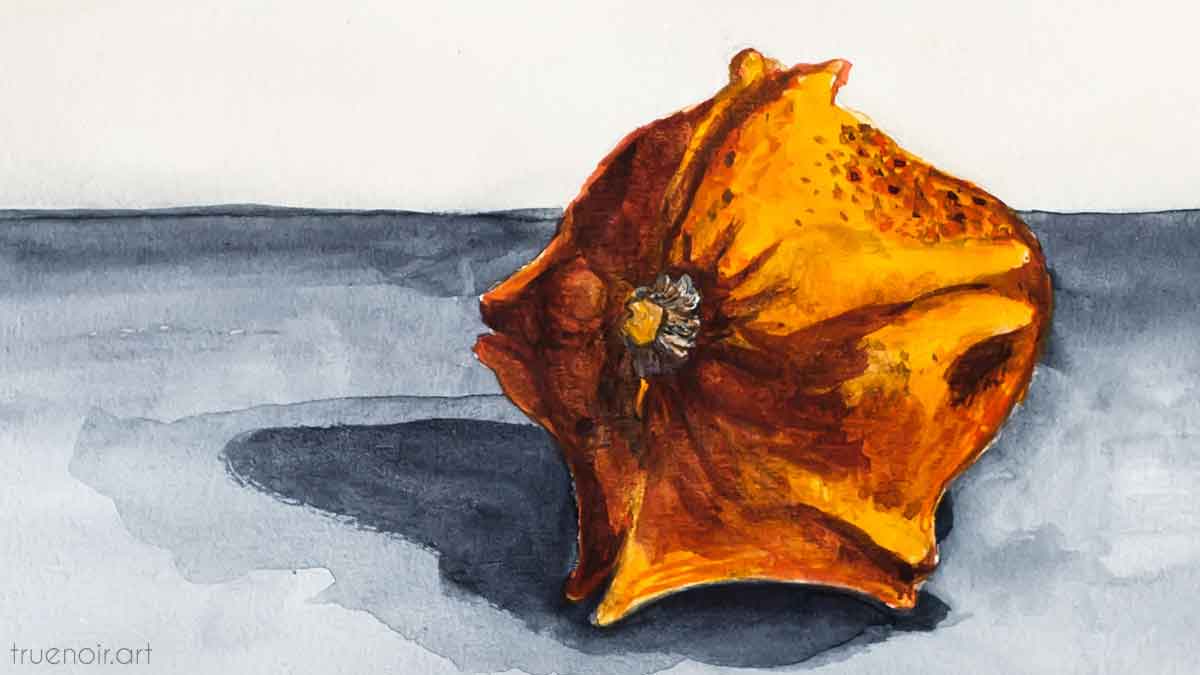 Star gourd, watercolor painting