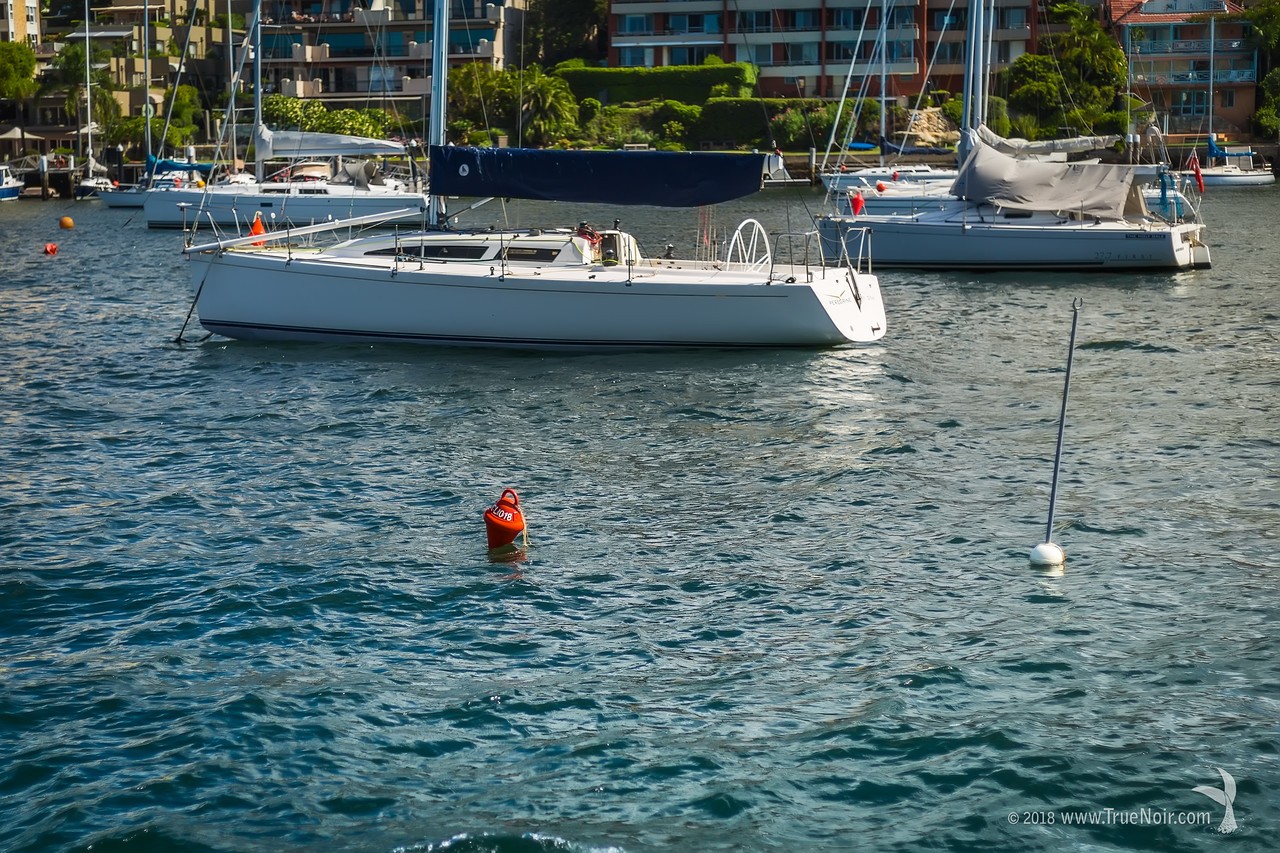 Fascination with Sea