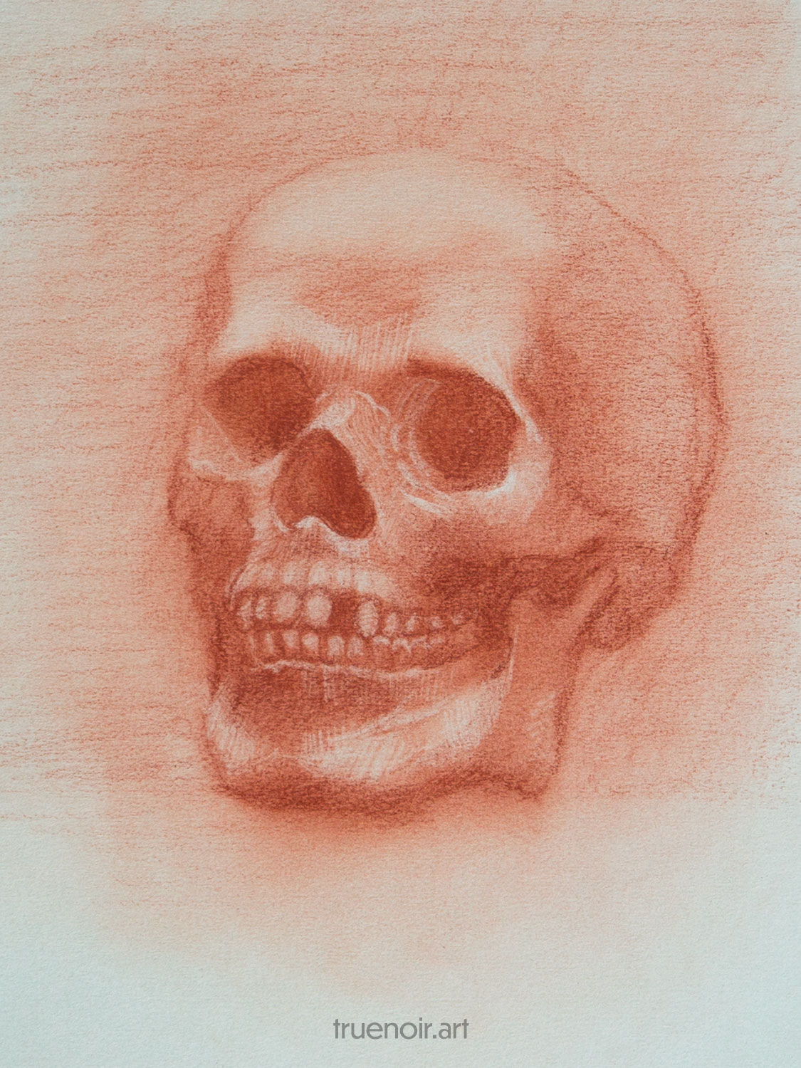 This drawing is done with sanguine on gray toned paper. Depicted here is a human skull with one tooth missing. The skull is facing to the left.