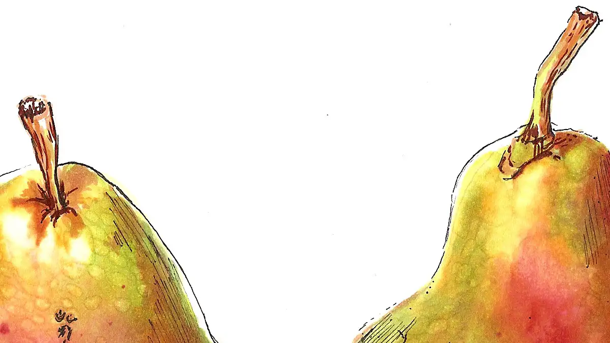 Pears Copic Drawings